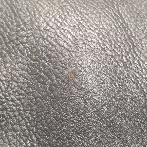 Simply Vera purse - Picture 6 of 7